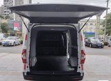 MAXUS EV30L