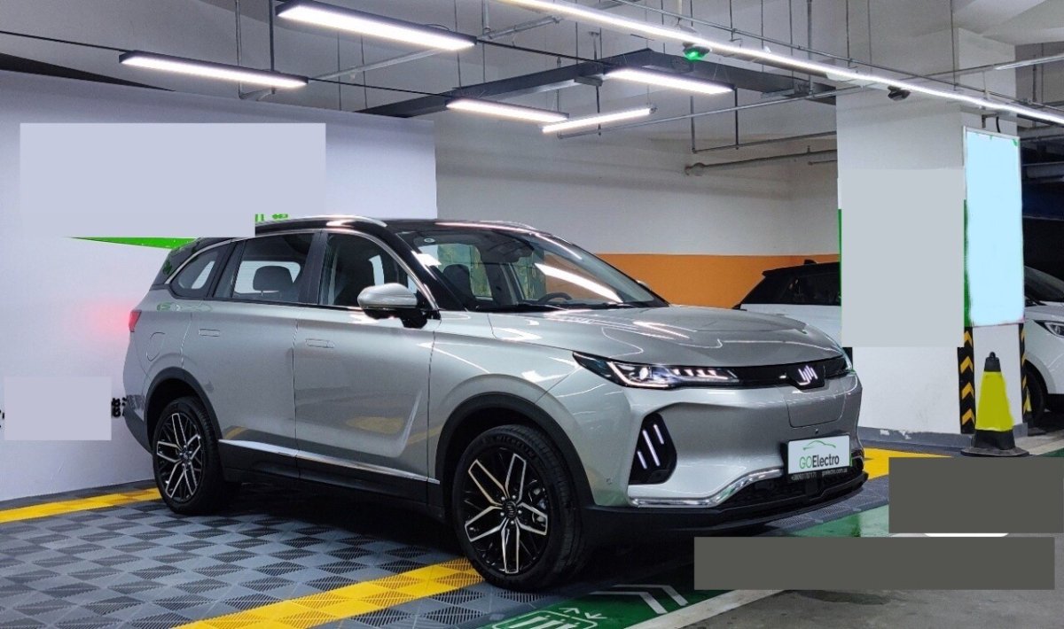 WELTMEISTER EX6 PLUS